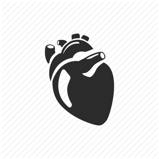 512x512 Doctor, Healthcare, Heart, Hospital, Human Heart, Medical, Stamina