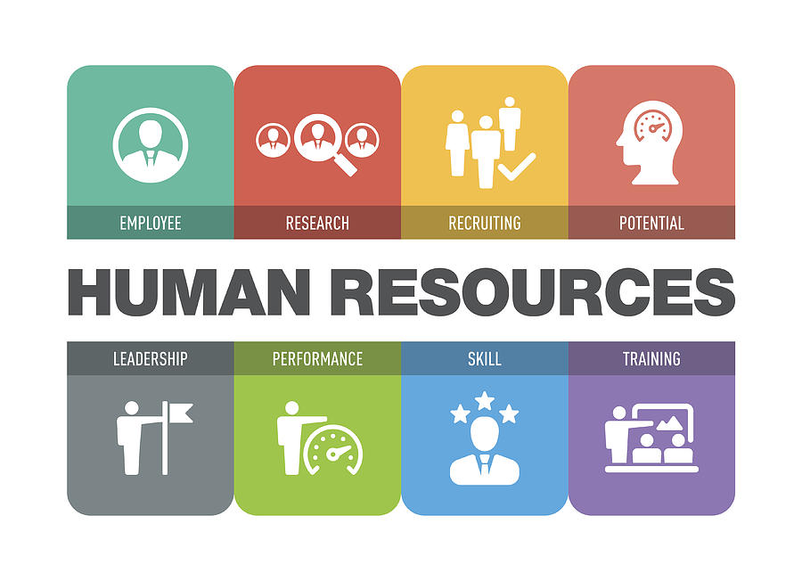 Human Resources Icon at Vectorified.com | Collection of Human Resources ...