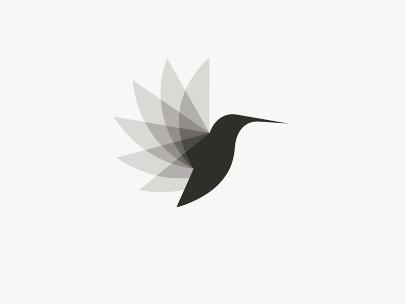 800x600 Hummingbird Icon