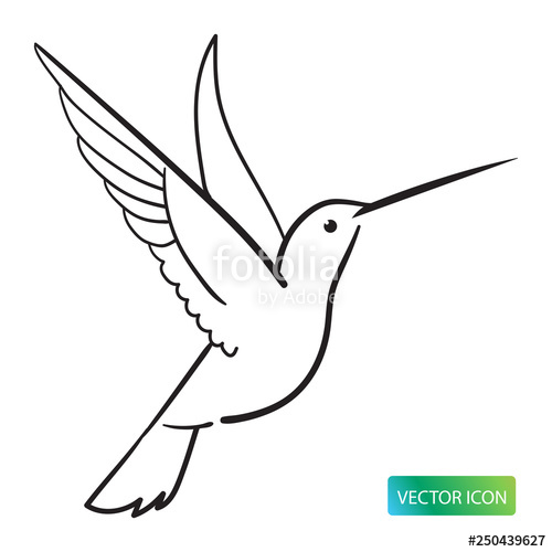 500x500 Hummingbird Icon Or Logo Design Vector Image On White Background