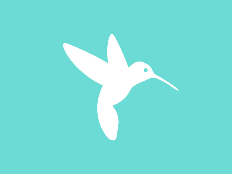800x600 Hummingbird Icon