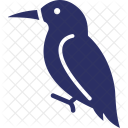 256x256 Hummingbird Icon Of Colored Outline Style