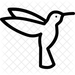 256x256 Hummingbird Icon Of Line Style