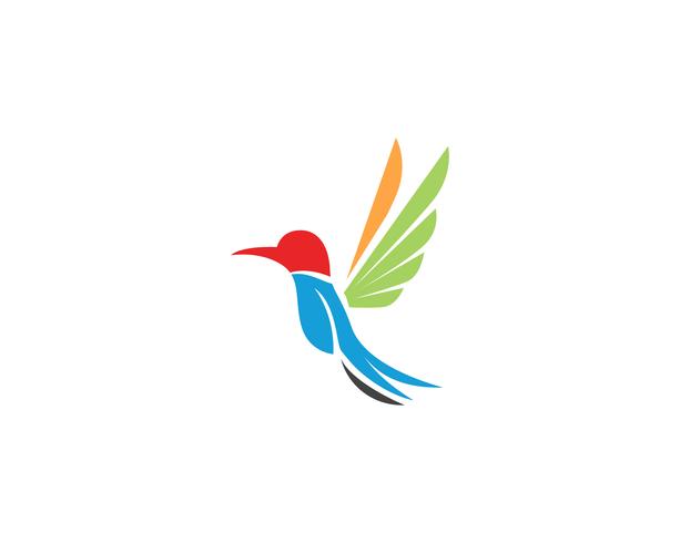 613x490 Hummingbird Icon Logo And Symbols Template Vector
