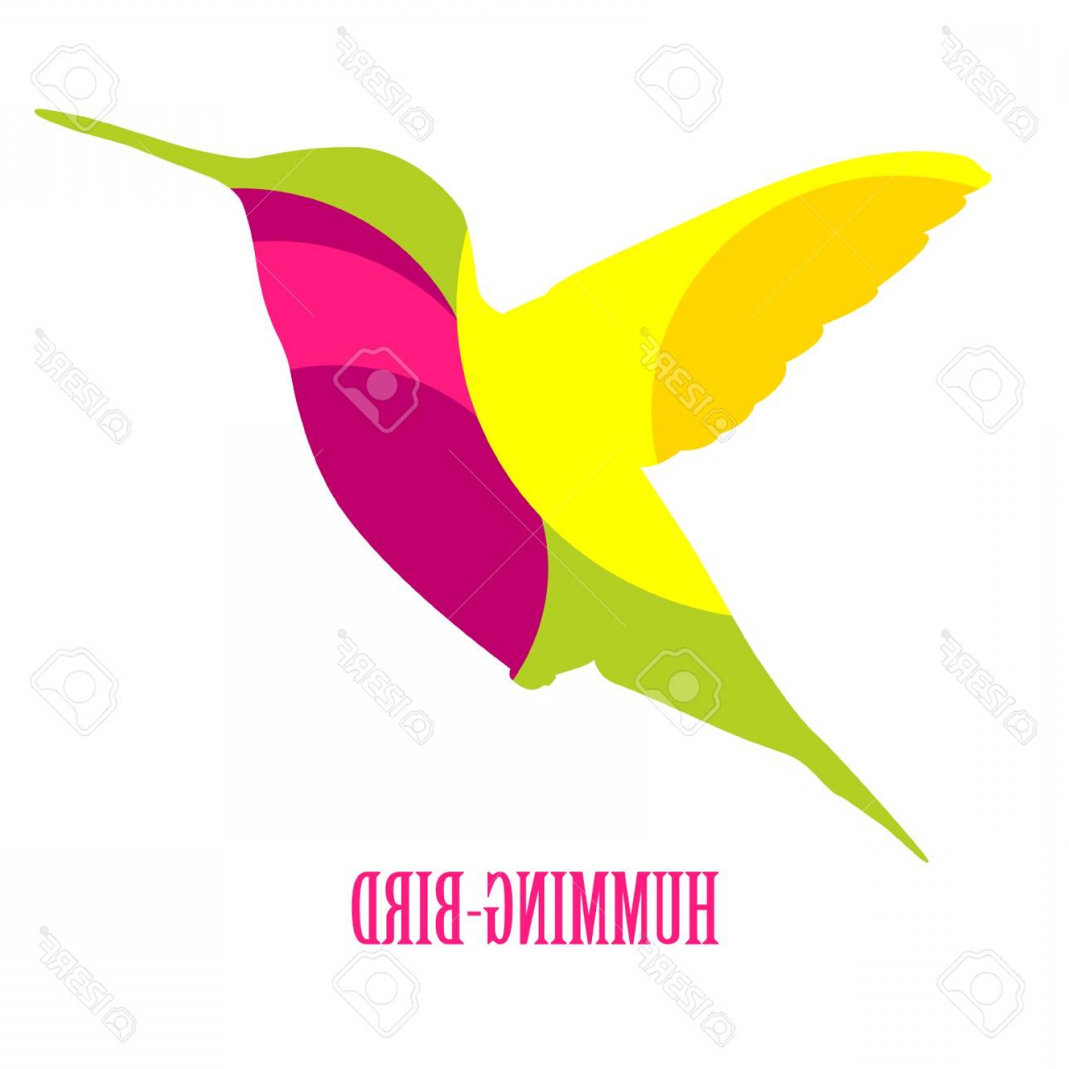 1560x1560 Photostock Vector Hummingbird Vector Icon Hummingbird Logo Symbol