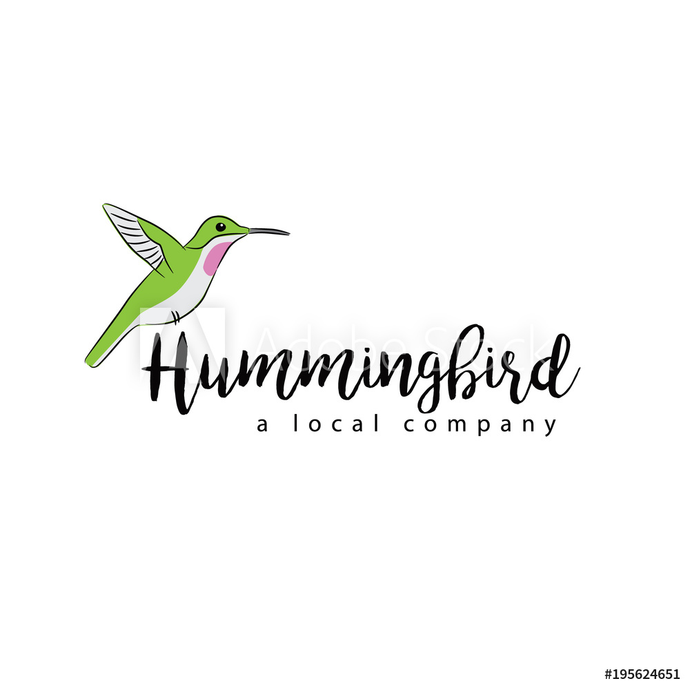 1000x1000 Fotografie, Obraz Hummingbird Icon Or Symbol Vector