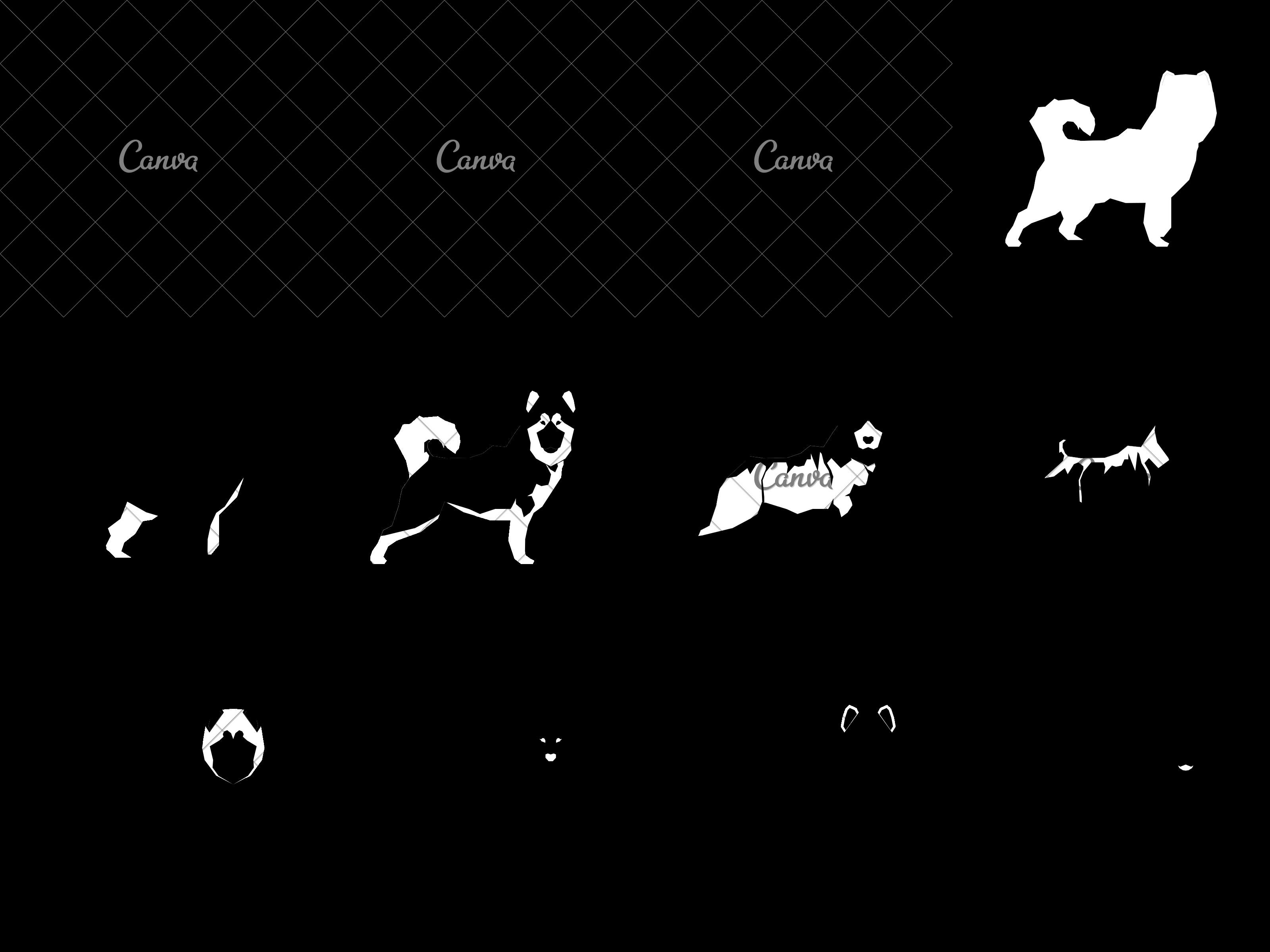 3200x2400 Siberian Husky Icon