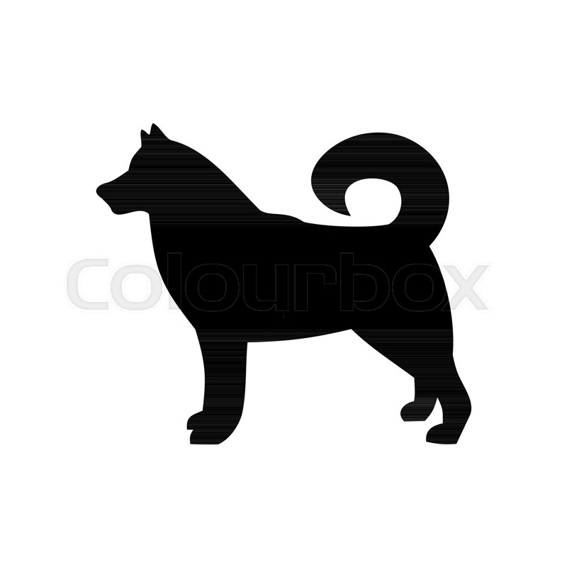 800x800 Dog Icon,dog Breed Husky,vector Stock Vector Colourbox