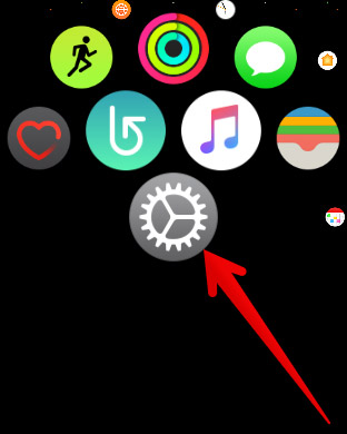 312x390 How To Pair Bluetooth Accessories With Apple Watch