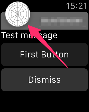 312x390 How To Change Apple Watch App Icon