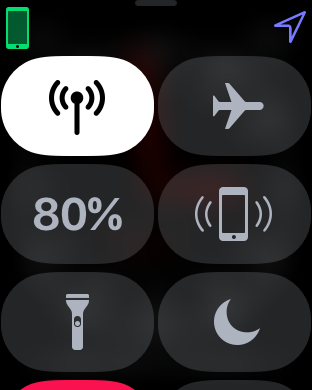 312x390 Your Lte Apple Watch Signal Meter Isn't Always Displayed Watchaware