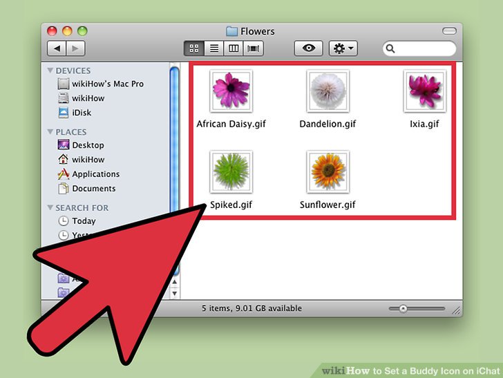 728x547 How To Set A Buddy Icon On Ichat Steps