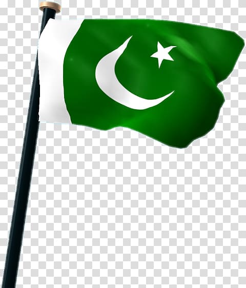 480x562 Flag Of Pakistan Icomania Guess The Icon Quiz National Flag, Flag