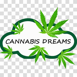 300x300 Flag Of Pakistan Icomania Guess The Icon Quiz National Flag, Flag