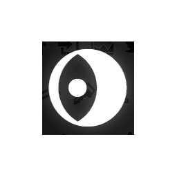 256x256 Icomoon Crunchbase