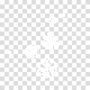 300x300 Best Of The Best Folder Icon, Best Of The Best Transparent