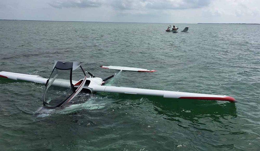 1000x583 Lounge It Up! Loungtastic