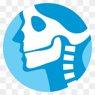 320x320 X Ray Capabilities