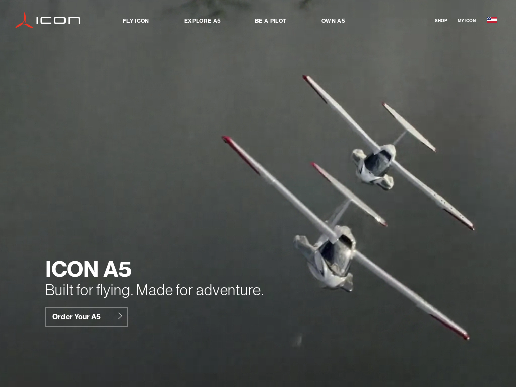 1024x768 Icon Competitors, Revenue And Employees