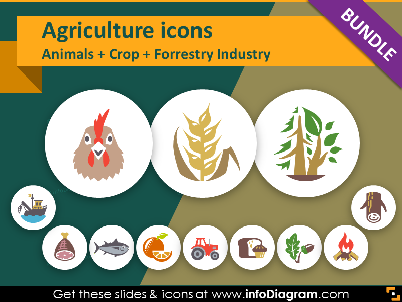 Icon Agriculture