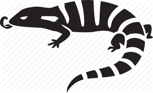 512x312 Australian, Blue, Lizard, Reptile, Skink, Tongue, Tongued Icon