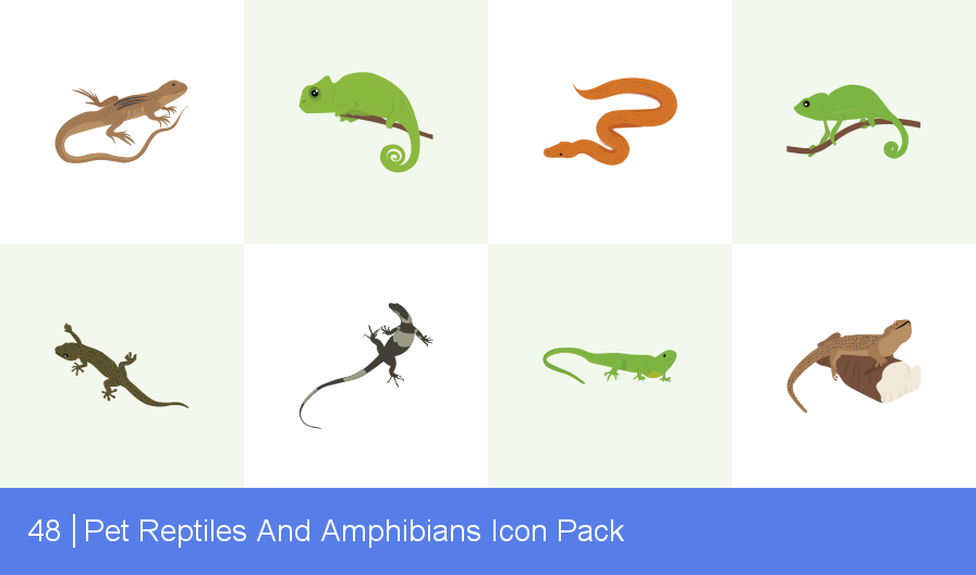 896x528 Download Pet Reptiles And Amphibians Icon Pack