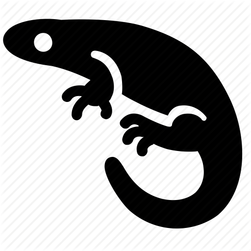 512x512 Amphibian, Animal, Aquarium, Pet, Salamander, Terrarium, Water Icon