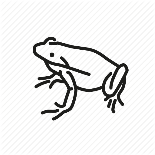 512x512 Amphibian, Animal, Batrachia, Freshwater, Freshwater Creature