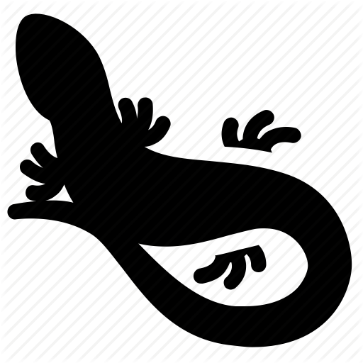 512x512 Amphibian, Animal, Hobby, Lizard, Pet, Terrarium, Zoo Icon