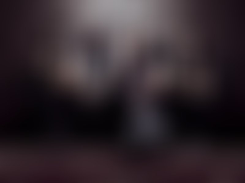 800x600 Icon The Black Roses Icon The Black Roses