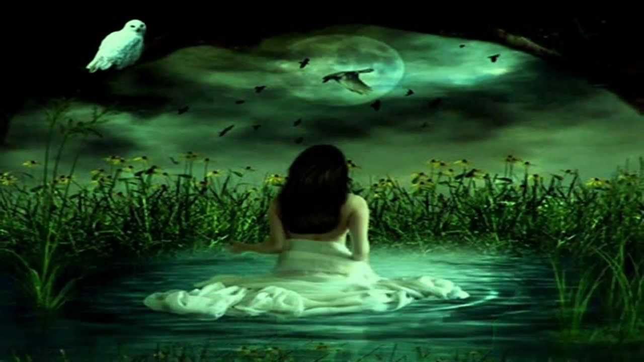 1280x720 Icon And Black Roses