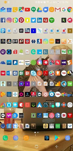 311x640 Nova Launcher How To Get 'all Apps' Icon Back On It