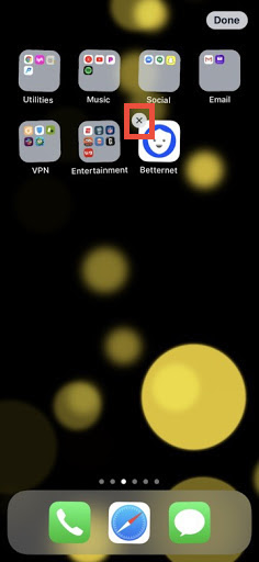 236x512 Uninstalling Betternet From Your Ios