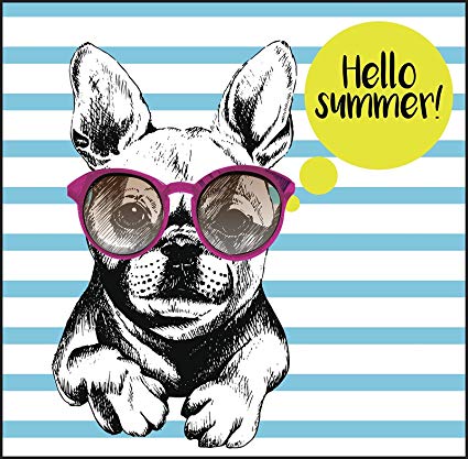 425x417 Morgan Graphics Hello Summer Cool Frenchie French