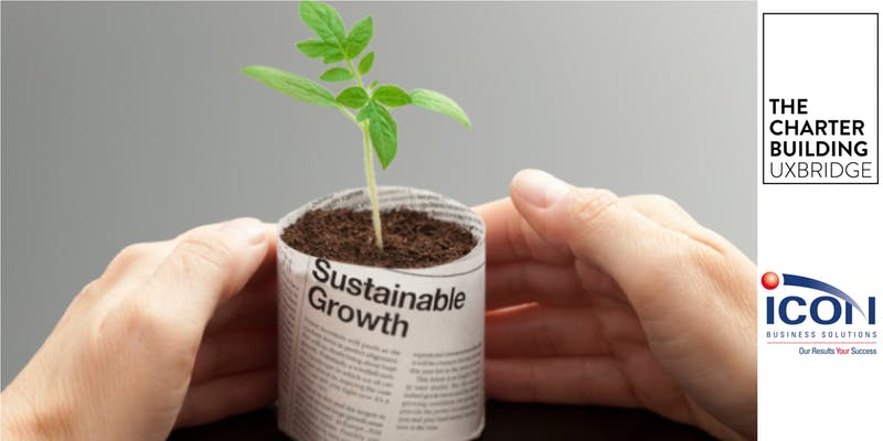 800x400 Icon Business Solutions Business Growth Three Vital Steps