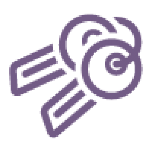 300x300 Icon Car Insurance