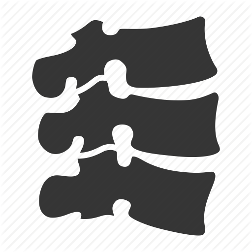 512x512 Chiropractic, Spine, Therapy Icon