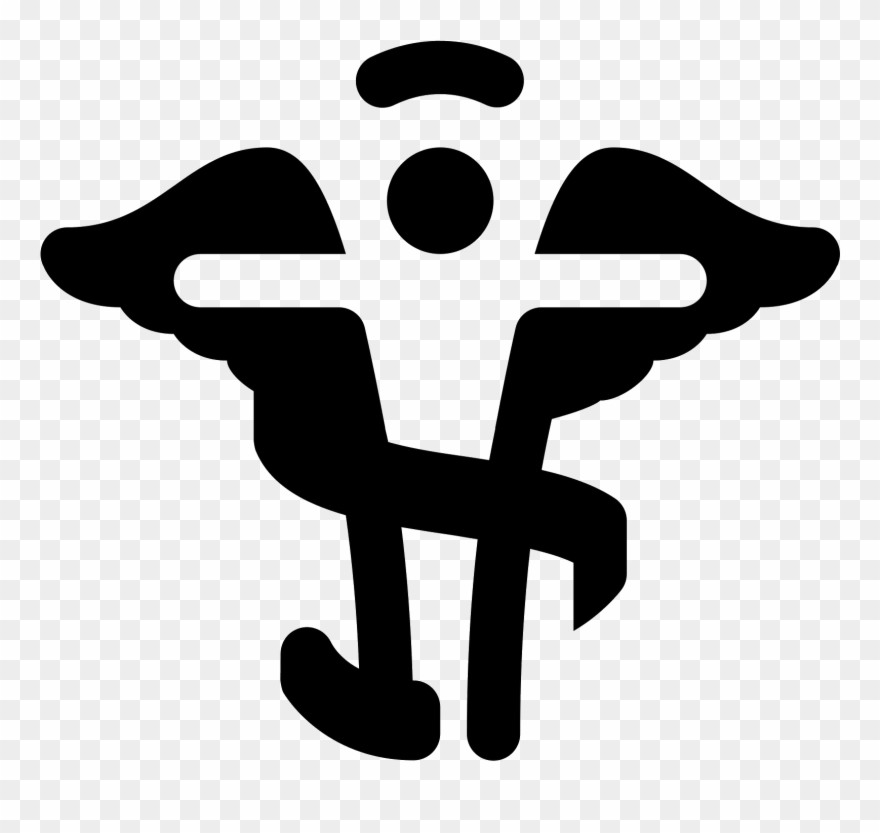 880x833 Chiropractic Caduceus Icon