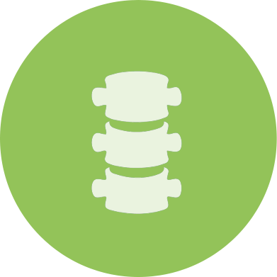 391x391 Chiropractic Care Icon