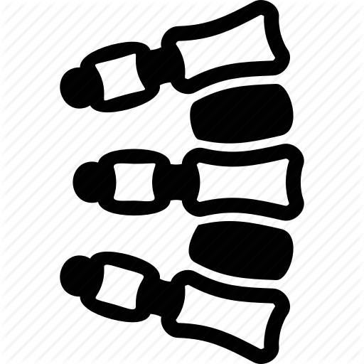 512x512 Back, Chiropractic, Health, Medical, Spine, Vertebra, Xray Icon