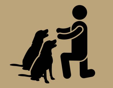 390x305 Canine Distraction Classes Icon