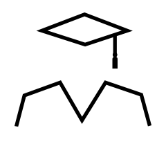 240x240 Home Icon College Students For Life