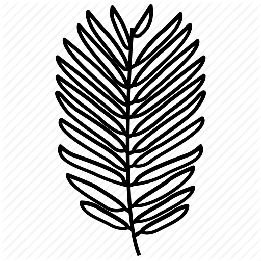 Conifer, Foliage, Frond, Leaf, Pine, Yew Icon 512x512 Conifer, Foliage, Frond, Leaf, Pine, Yew Icon