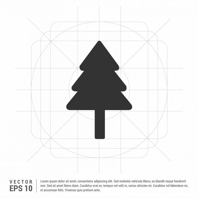Conifer 640x640 Conifer