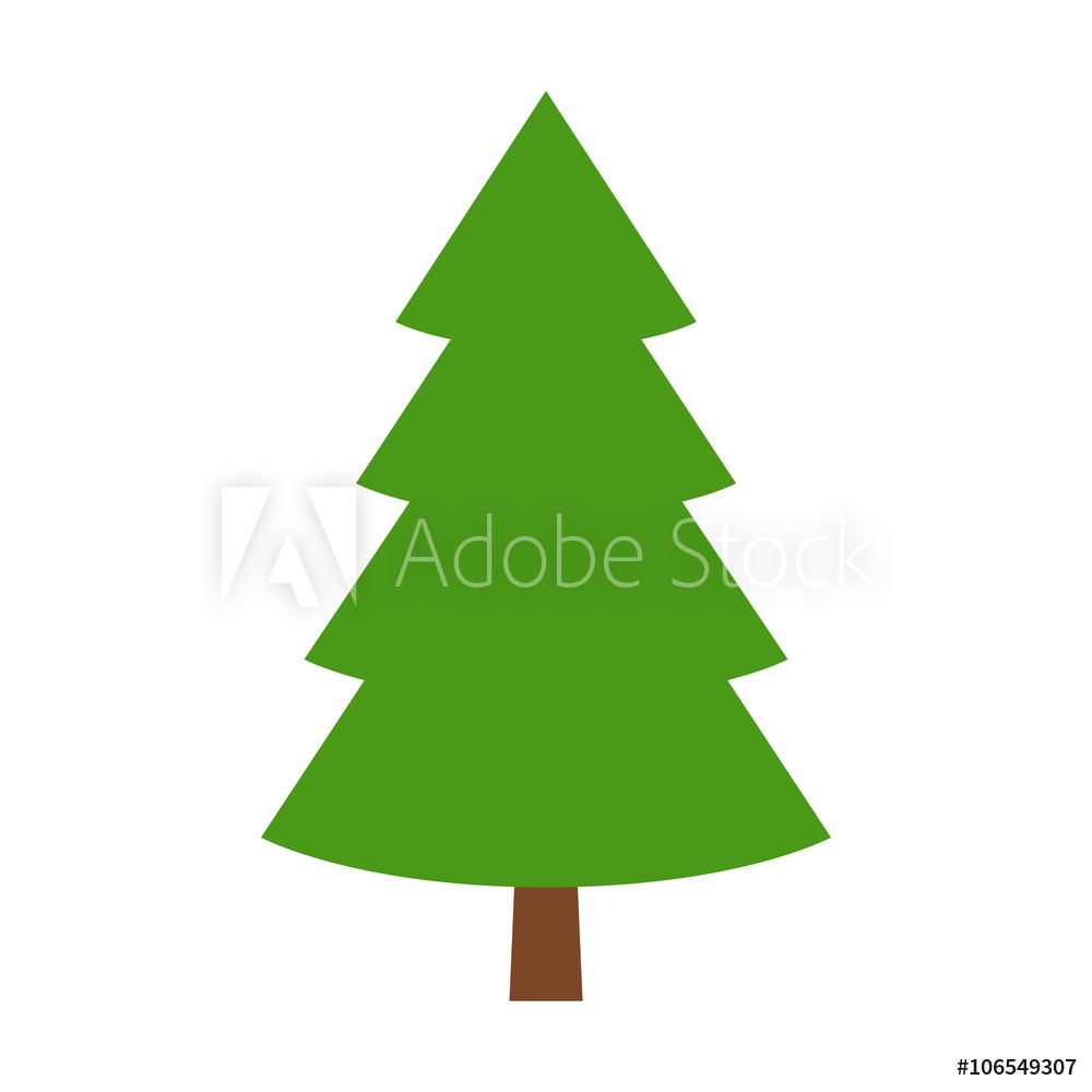 Fotografie, Obraz Evergreen Conifer Pine Tree Flat Stylized 1000x1000 Fotografie, Obraz Evergreen Conifer Pine Tree Flat Stylized
