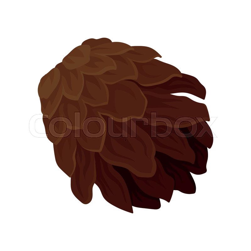 Illustration Of Dark Brown Pine Cone Stock Vector Colourbox 800x800 Illustration Of Dark Brown Pine Cone Stock Vector Colourbox
