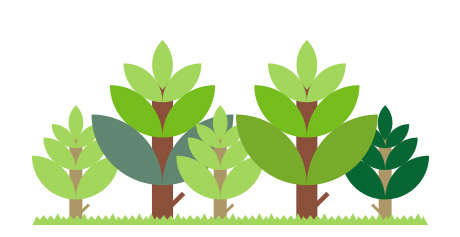 460x237 Conifer Trees Perrie Hale Nursery