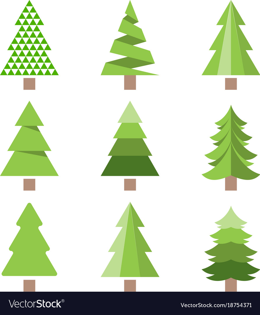892x1080 Evergreen Tree Icon