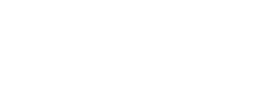 1080x359 Human Capital Consulting