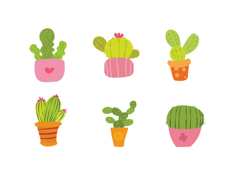 800x600 Cactus Cute Icon